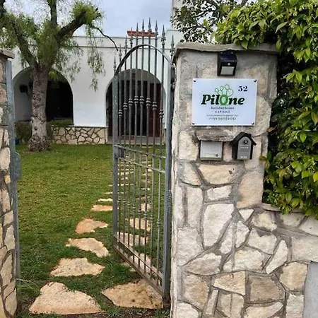 Pilone *