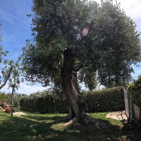 Holiday home Pilone